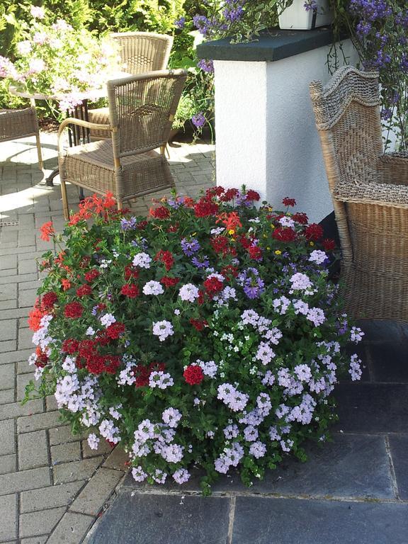 De Witte Molen Kranenburg Bed & Breakfast Kranenburg  Ngoại thất bức ảnh