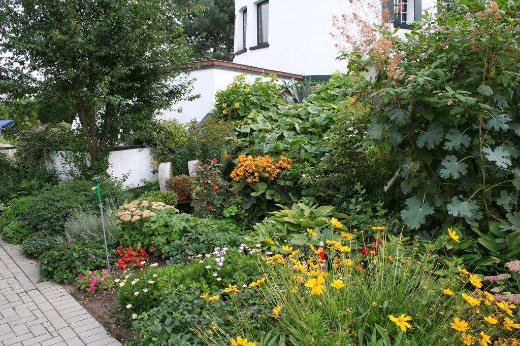 De Witte Molen Kranenburg Bed & Breakfast Kranenburg  Ngoại thất bức ảnh
